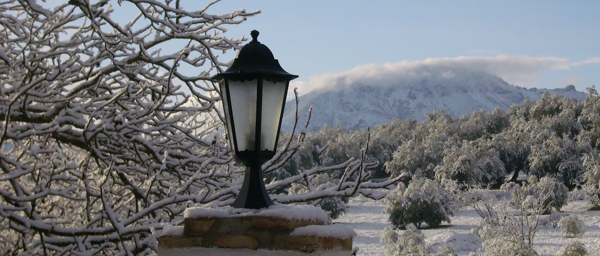 Una manana soleada con nieve en priego